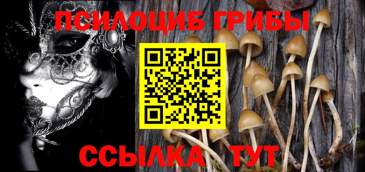 Галлюциногенные грибы Psilocybe  как найти наркотики  Среднеуральск  Вход с VPN 